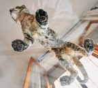 I Own the World I Own the World