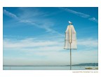 San Feliciano sul Trasimeno San Feliciano sul Trasimeno