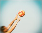 Pallavolo tra amici Pallavolo tra amici