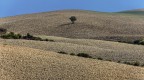 Minimal Landscape