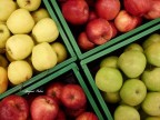 Apples Apples