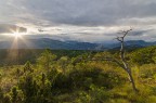 Dialogo Naturale