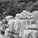 Rocce carsiche sul Sentiero di Rilke (TS) - Zeiss Ikon Contina 2 anno 1952 - Tessar 45mm f.2,8 - Pellicola 200 iso - Epson V500.
