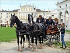 Villa Manin (UD).Esibizione di carrozze d'epoca.