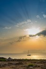 The Sail Boat The Sail Boat