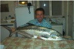 Questa  una leccia di 14 kg
