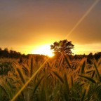 Tramonto fantastico Tramonto fantastico