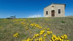 La via Francigena