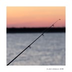 Inanellando... Inanellando...