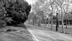 In strada In strada