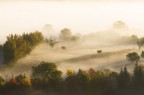 nebbia d'autunno
