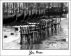 Yes Venice Yes Venice