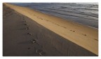 sea/sand sea/sand