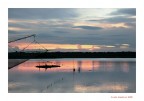 Pesca....rosa