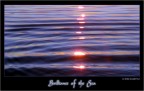 Brilliance of the Sea Brilliance of the Sea