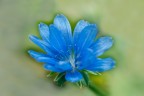 Macro 2
