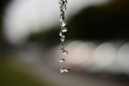 Acqua Acqua