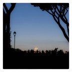 View of Rome View of Rome