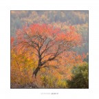 Al di la dei sogni Al di la dei sogni