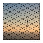 L'Ago nel Pagliaio L'Ago nel Pagliaio