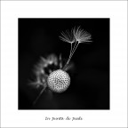 In punta di piedi In punta di piedi