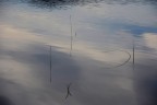 Segni d'acqua... Segni d'acqua...