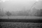 Preludio di inverno