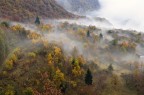 Autunno nebbioso