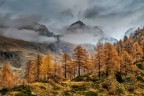 I colori dell'autunno