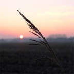 Tendere alla luce (consapevoli del buio) Tendere alla luce (consapevoli del buio)