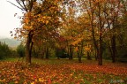 Autunno Autunno