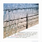 Emozioni viaggiano sulle onde... Emozioni viaggiano sulle onde...