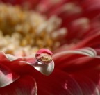 Come cristallo... Come cristallo...