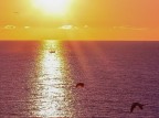 Acqua, fuoco e aria