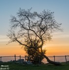 Coprimi che sono timido! Coprimi che sono timido!