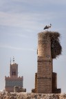 Un giorno a Marrakech