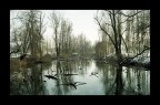 questo inverno passerà ... il dolore passerà ! ;/) questo inverno passerà ... il dolore passerà ! ;/)