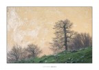 Verso la luce
