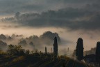 Nebbia mattutina Nebbia mattutina