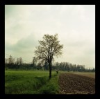 qualche altra primavera da aspettare ancora ;/) qualche altra primavera da aspettare ancora ;/)