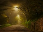 Foggy night Foggy night