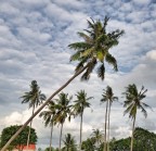 Inclinazioni naturali Inclinazioni naturali