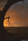 Al tramonto