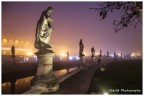 Nebbia bassa al Prato della Valle...(Pd) Nebbia bassa al Prato della Valle...(Pd)
