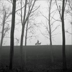 echoes ;/) echoes ;/)