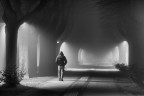 La nebbia