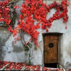 Colori d'autunno Colori d'autunno