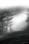 sole-nebbia