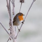 ..prima dell'alba.. ..prima dell'alba..