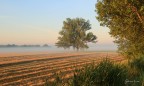 Alba nella pianura bolognese Alba nella pianura bolognese